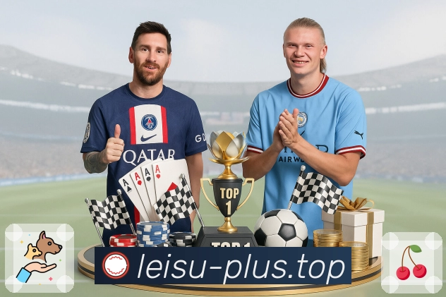 雷速体育首页的安装方法与使用指南，轻松体验体育直播乐趣